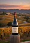 Vino Tinto Meiomi Pinot Noir Vintage 750 ml