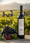 Vino Tinto Casa Madero Cabernet Sauvignon 750 ml