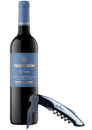 Vino Tinto Valdubón 9 meses 750 mL