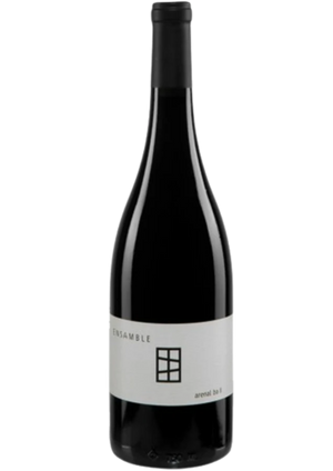 Vino Tinto Ensamble Arenal 750 mL