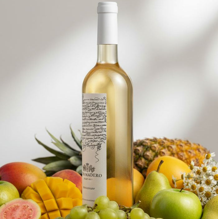 Vino Blanco Casa Madero Chardonnay 750 mL