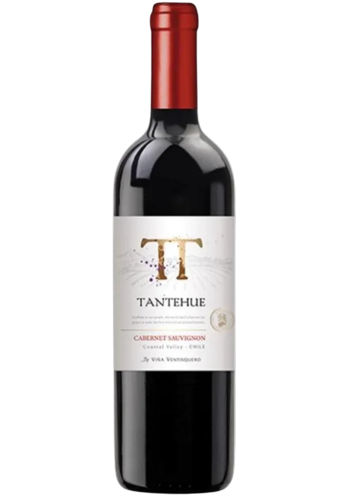 Vino Tinto Tantehue Cabernet Sauvignon 750 mL