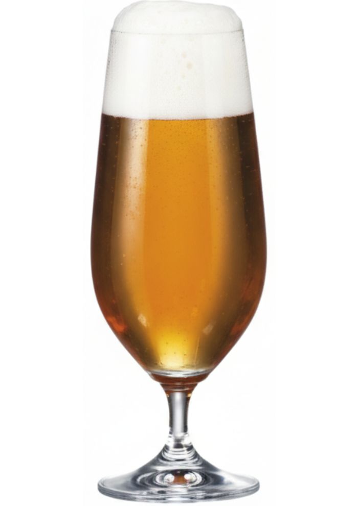 6 Copas Cerveza marca Slovak Mytus de 395 mL