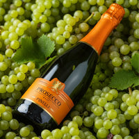 Vino Espumoso Prosecco Pinelli 750 mL