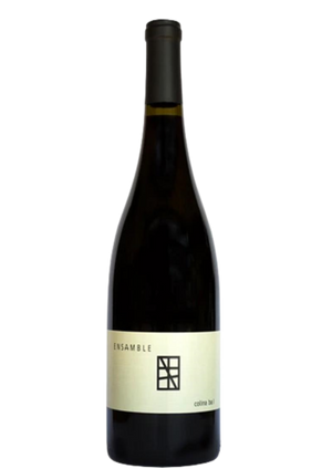 Vino Tinto Ensamble Colina Ba I 750 mL
